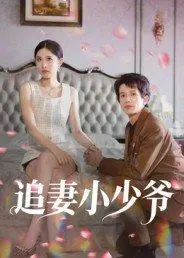 追妻小少爷 《追妻小少爷》短剧封面