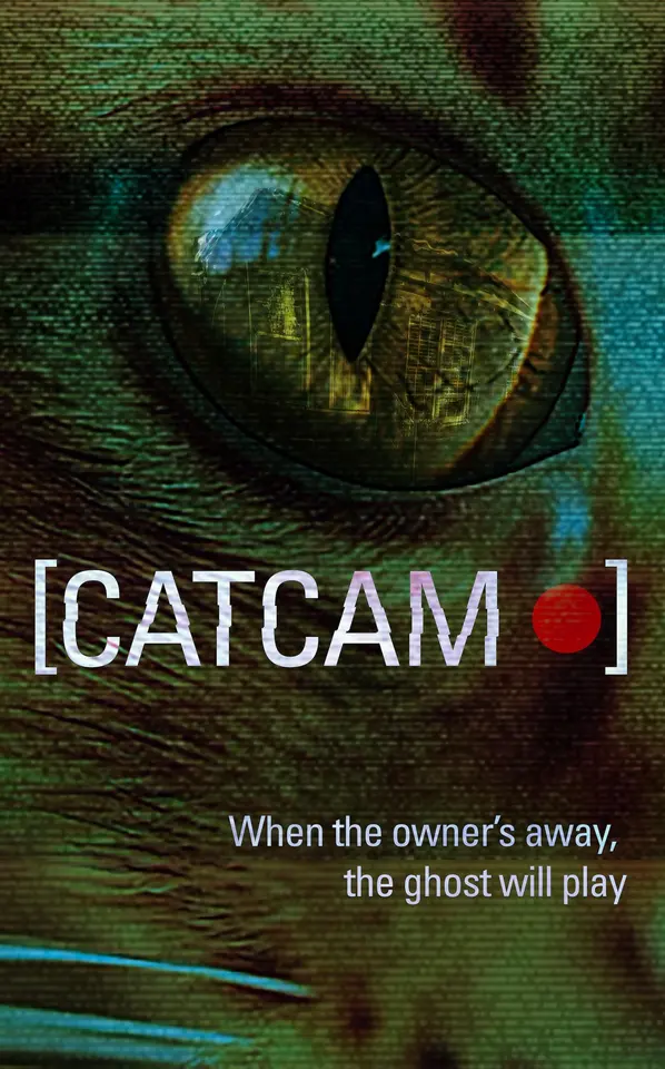 猫咪摄像头 猫咪摄像头封面