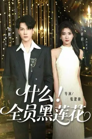 《什么全员黑莲花》短剧封面