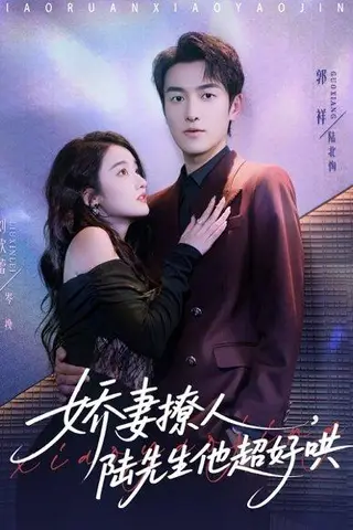 《娇妻撩人，陆先生他超好哄》短剧封面