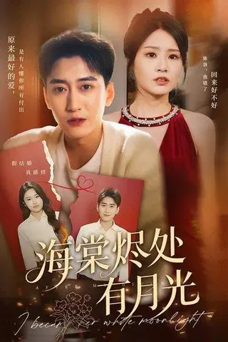 《海棠烬处有月光》短剧封面