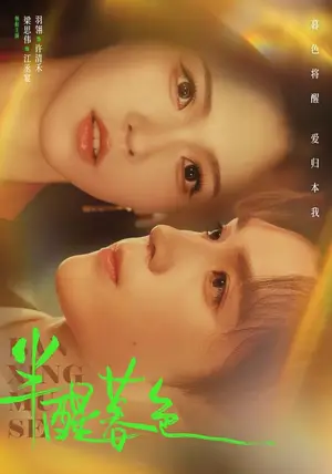 《半醒暮色（77集）梁思伟&羽翎（夸克网盘）》短剧封面