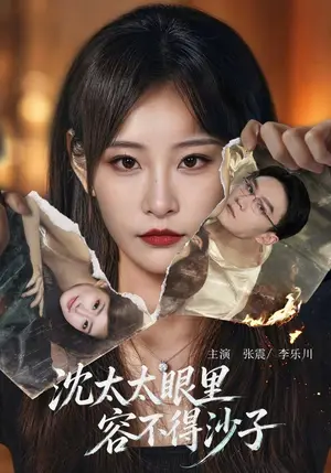《沈太太眼里容不得沙子（41集）张震&李乐川（夸克网盘）》短剧封面