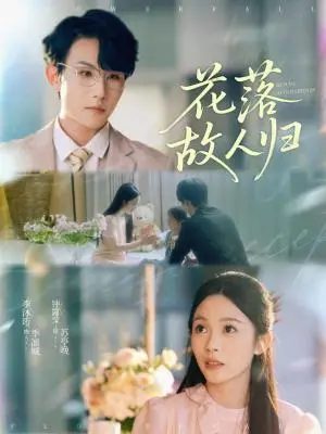 《花落故人归（66集）李沐珩＆钟露莹》短剧封面