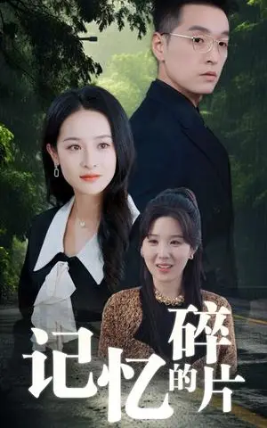 《记忆的碎片（50集）赵龙＆王蔼玲（夸克网盘）》短剧封面