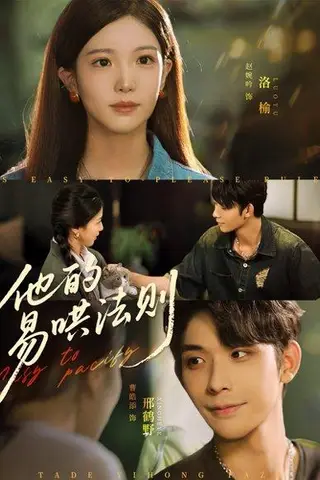 《他的易哄法则（80集）曹皓添＆赵婉吟》短剧封面