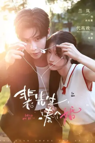 《裴先生，凑个婚（75集）代高政＆兰岚（百度网盘）》短剧封面