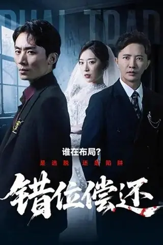 《错位偿还（60集）赵芯冉&李永鑫》短剧封面