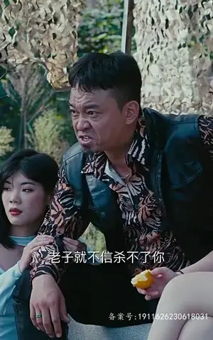 《镇国龙婿(81集)》短剧封面