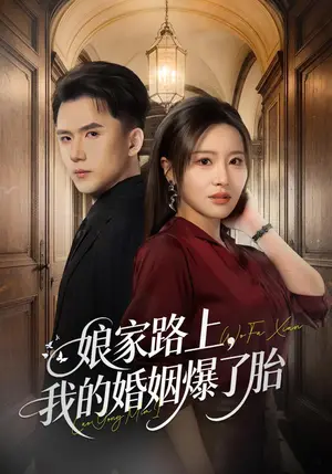 《娘家路上，我的婚姻爆了胎（78集）刘昕岚&赵志盟（夸克网盘）》短剧封面
