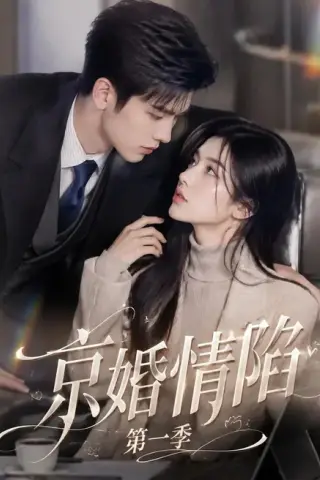 《京婚情陷第一季（113集）（百度网盘）》短剧封面