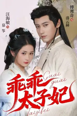 《乖乖太子妃（64集）傅邦奇＆汪海敏》短剧封面