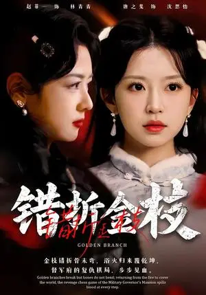 《错折金枝》短剧封面