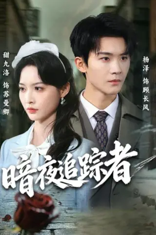 《暗夜追踪者（61集）杨泽＆甜九洛（1080P）（夸克网盘）》短剧封面