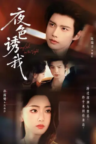 《夜色诱我（78集）陈瑞丰＆孙露鹭（1080P）（夸克网盘）》短剧封面