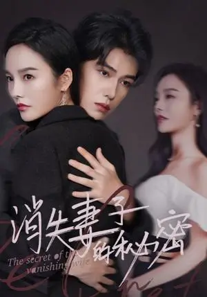 《消失妻子的秘密（60集）李胜楠（夸克网盘）》短剧封面