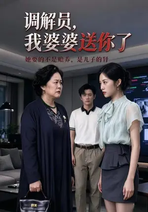 《调解员，我婆婆送你了（30集）直贝贝&宋星翰（夸克网盘）》短剧封面
