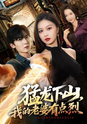 猛龙下山，我的老婆有点烈（78集）金美希&原晨（夸克网盘）封面