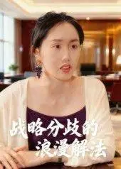 《战略分歧的浪漫解法》短剧封面
