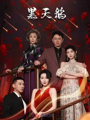 《黑天鹅（51集）孔莹莹（夸克网盘）》短剧封面