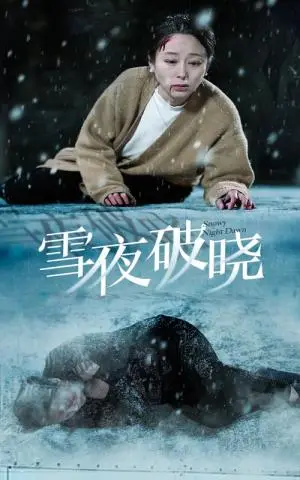 《雪夜破晓（36集）（夸克网盘）》短剧封面