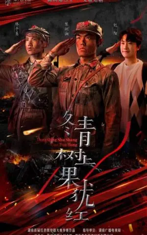 《冬青树上果犹红（9集）张懋&夏天琪（夸克网盘）》短剧封面