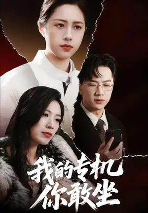 《我的专机你敢坐（62集）王婧琦＆周家洪（夸克网盘）》短剧封面