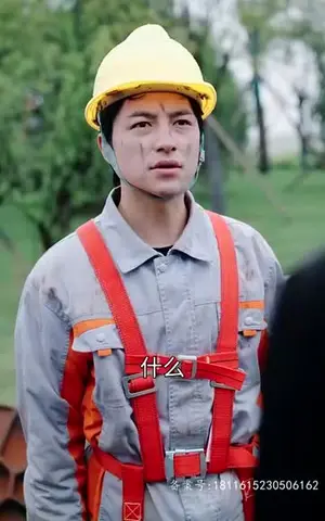 《我的大明星老婆（81集）》短剧封面