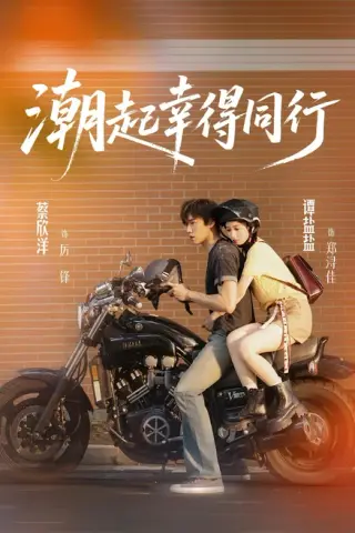 《潮起幸得同行（73集）蔡欣洋＆谭盐盐（百度网盘）》短剧封面