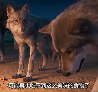 《荒漠农场之戈壁有座动物城第二季（151集）（夸克网盘）》短剧封面