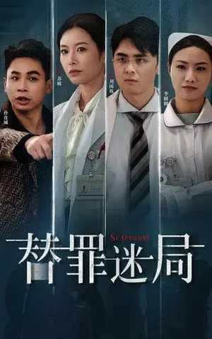 《替罪迷局（42集）（夸克网盘）》短剧封面