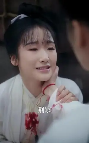 《特工王妃楚乔传》短剧封面