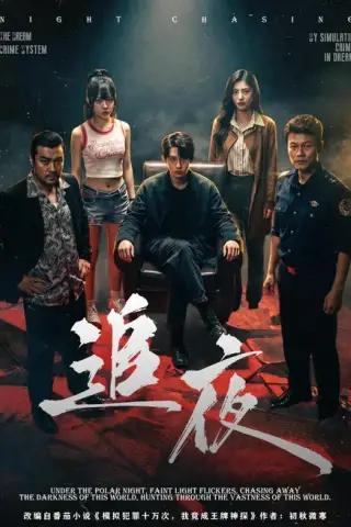 《追夜（70集）林沐＆王美淇（1080P）（百度网盘）》短剧封面