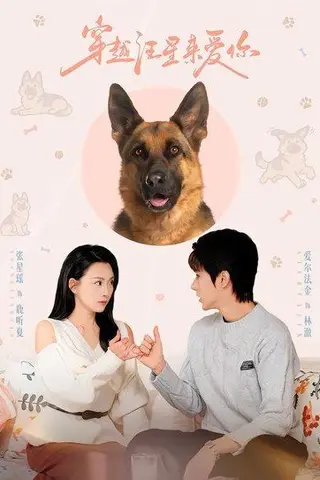 《穿越汪星来爱你（62集）爱尔法金＆张星瑶（百度网盘）》短剧封面