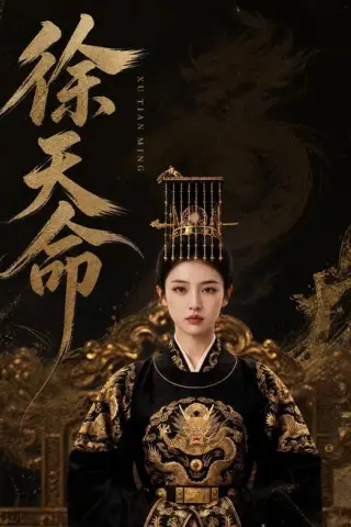 《徐天命（79集）（百度网盘）》短剧封面