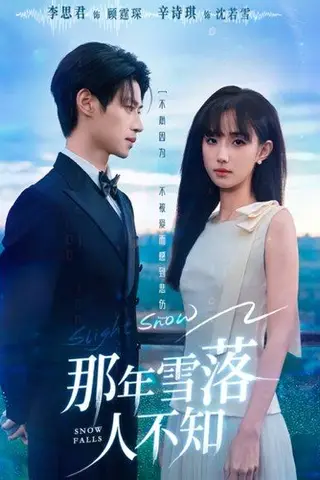 《那年雪落人不知》短剧封面
