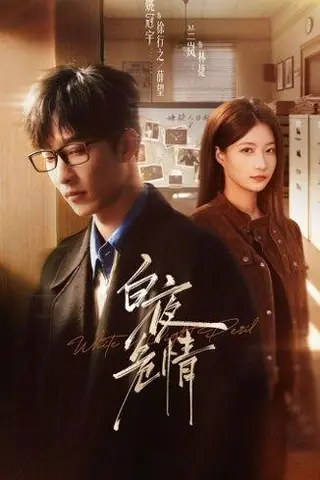 《白夜危情（66集）姚冠宇＆兰岚（百度网盘）》短剧封面