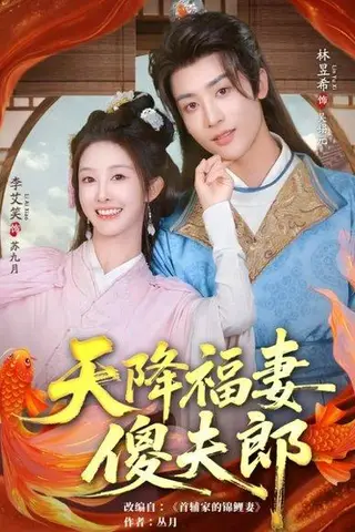 《天降福妻傻夫郎（85集）林昱希&李艾笑》短剧封面