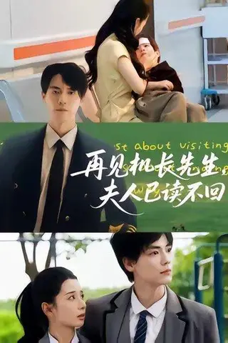《再见机长先生夫人已读不回》短剧封面