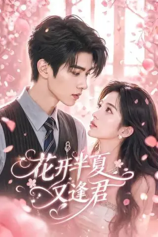 《花开半夏又逢君（59集）（百度网盘）》短剧封面