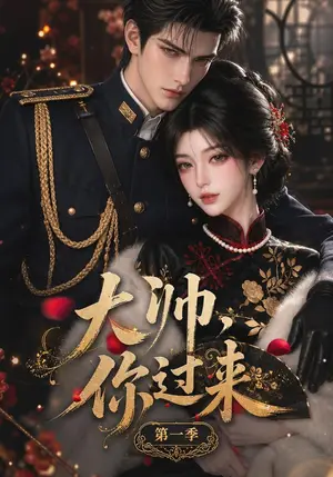 《大帅，你过来！第一季（261集）（夸克网盘）》短剧封面