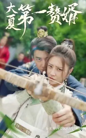 《大夏第一赘婿(94集)》短剧封面