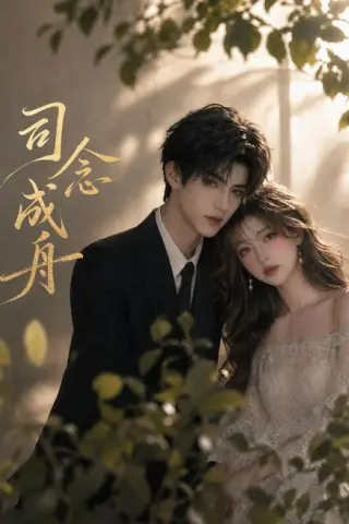 《司念成舟（31集）Ai短剧（百度网盘）》短剧封面