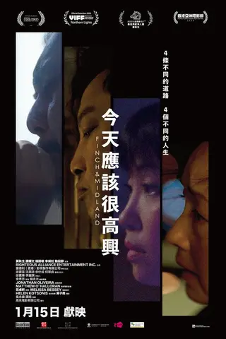《今天应该很高兴》电影封面