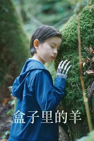 《盒子里的羊》电影封面