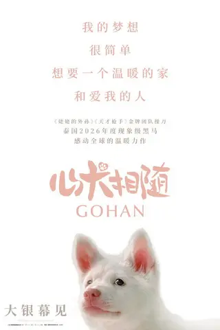 《心犬相随》电影封面