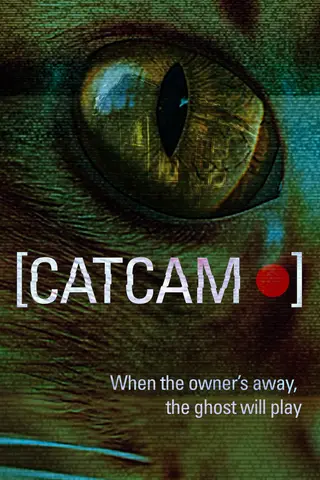 《猫咪摄像头》电影封面