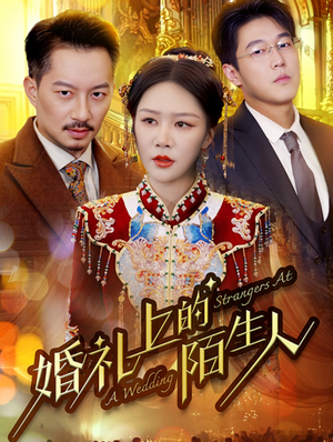 《婚礼上的陌生人》短剧封面