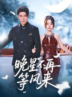 晚星不再等风来（65集）王子林＆李智颖&杨桃（夸克网盘）封面图 - 短剧短剧
