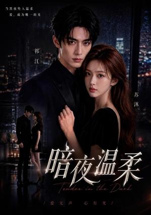 暗夜温柔 《暗夜温柔》短剧封面